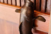 引けるものであれば、すべては取手
