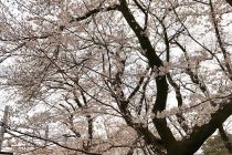 第2回HACOLABO展のお知らせ