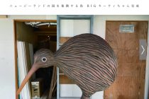 Matts Kitchen DELIのキーウィちゃんがすごすぎる